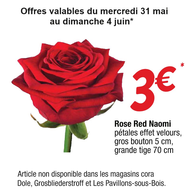 Rose Red Naomi