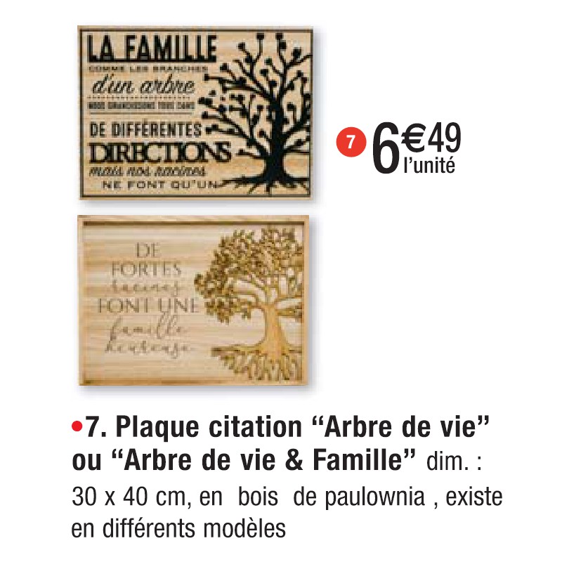 Plaque citation ‘‘Arbre de vie’’ ou ‘‘Arbre de vie & Famille’’