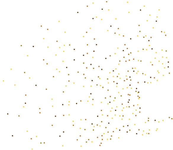 d_feu_artifice_milieu