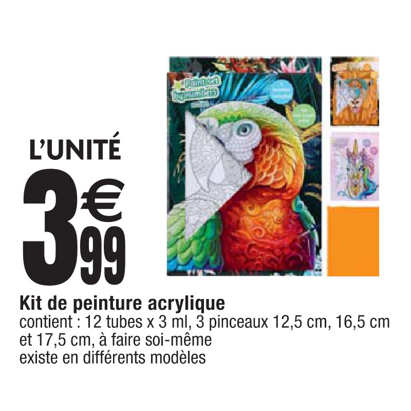 Kit de peinture acrylique