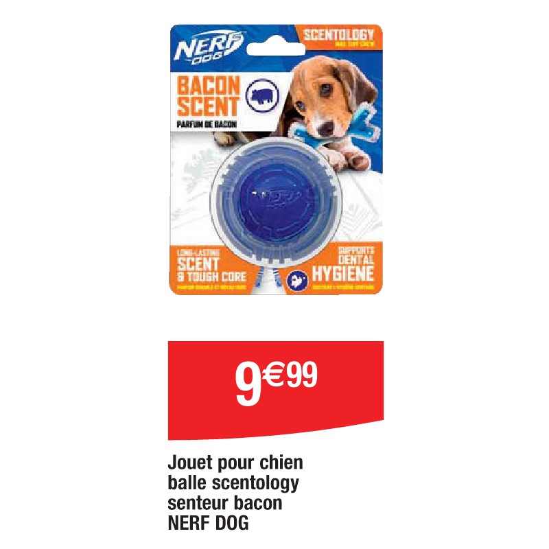 Jouet pour chien balle scentology senteur bacon NERF DOG