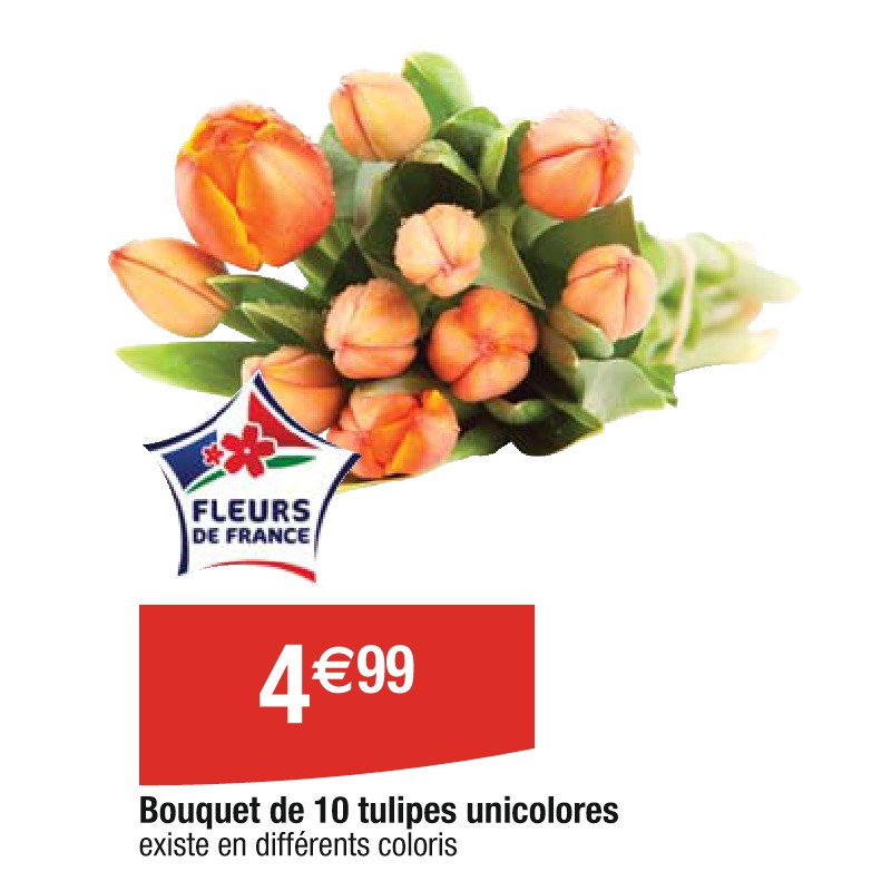 Bouquet de 10 tulipes unicolores