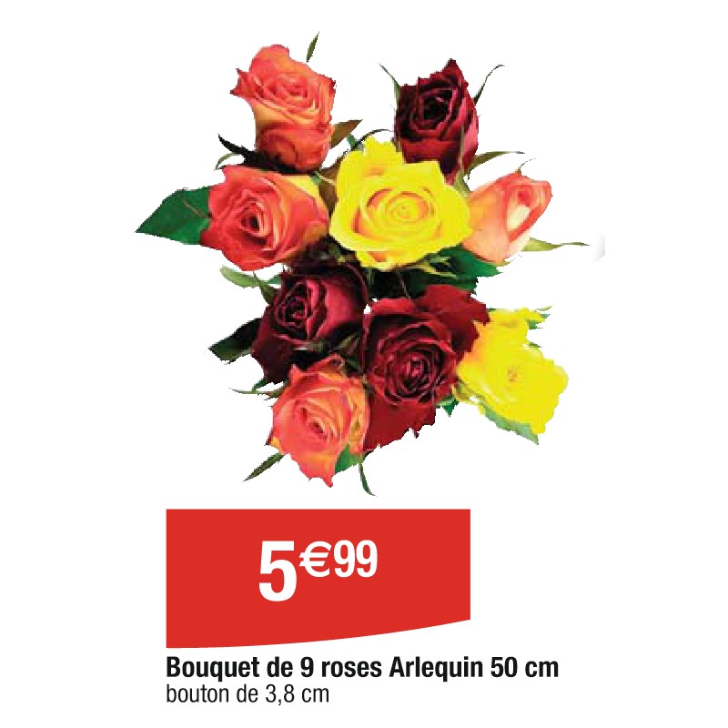 Bouquet de 9 roses Arlequin 50 cm