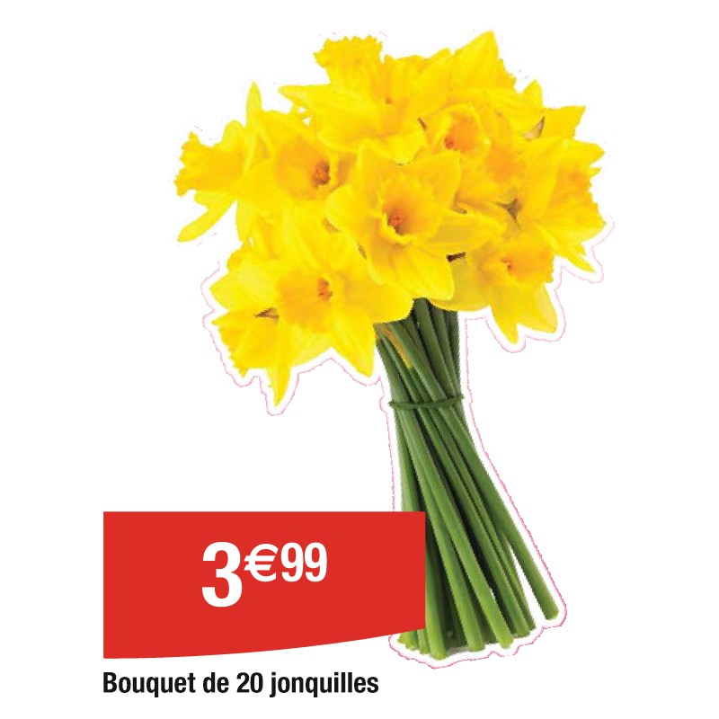 Bouquet de 20 jonquilles