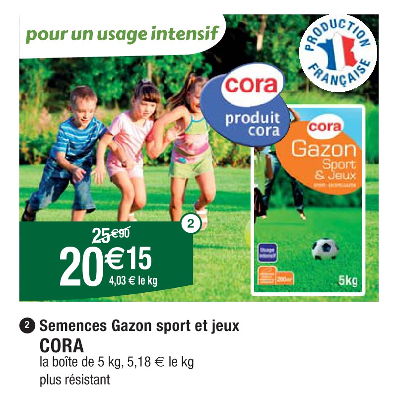 Semences Gazon sport et jeux CORA