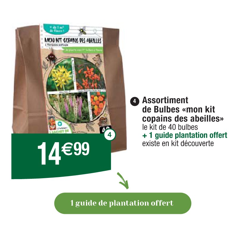 Assortiment de Bulbes «mon kit copains des abeilles»