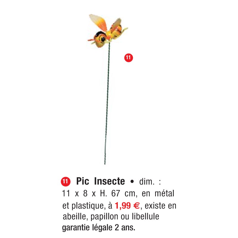Pic Insecte