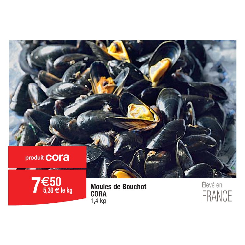 Moules de Bouchot CORA