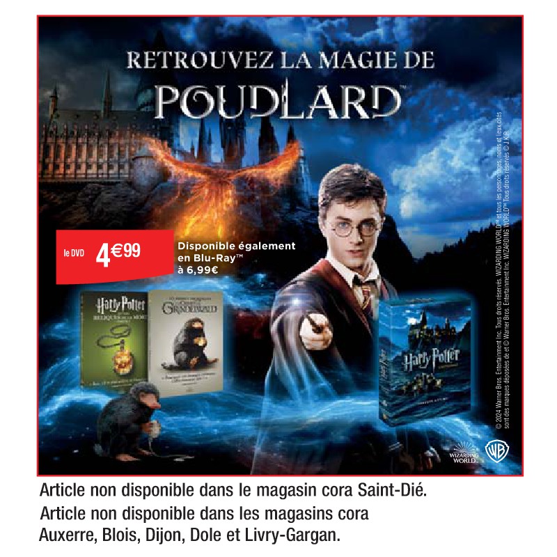 DVD Harry Potter et les reliques de la mort partie 1 ou Les Crimes de Grindelwald