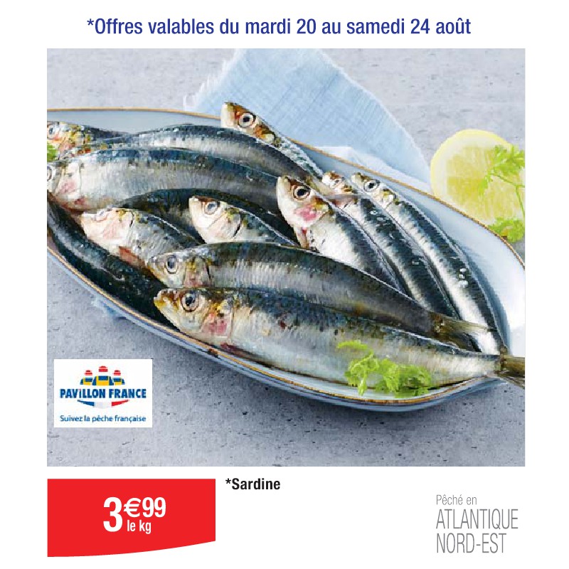 Sardine