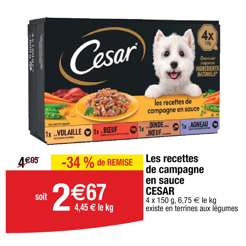 Les recettes de campagne en sauce CESAR