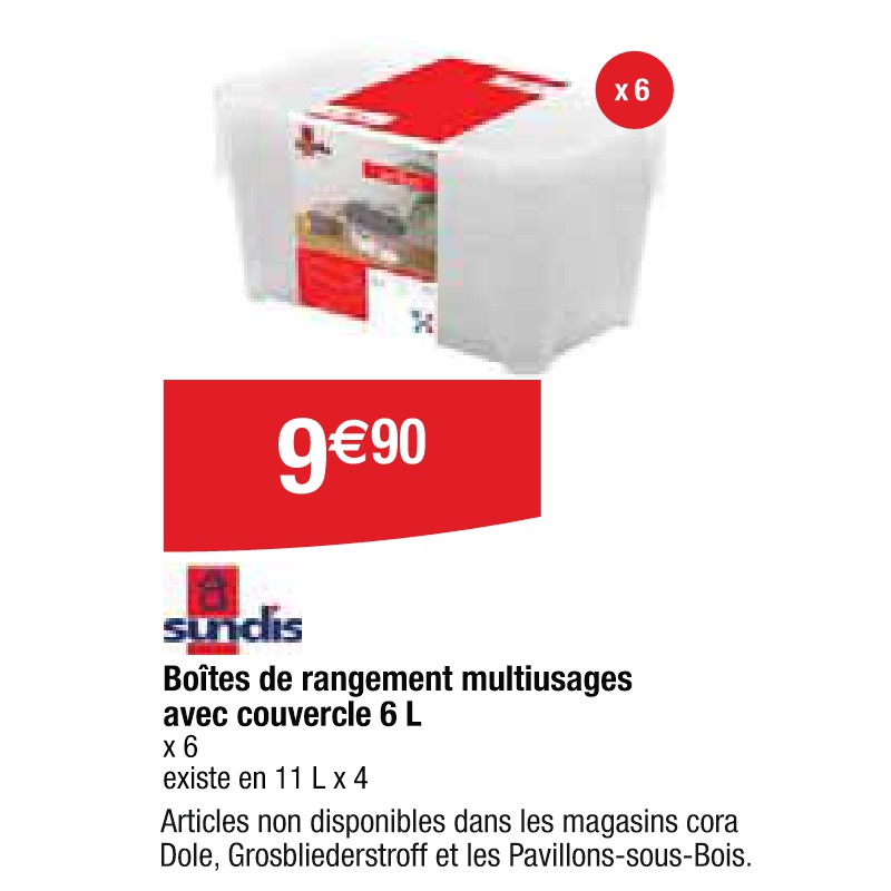 Boîtes de rangement multiusages avec couvercle 6 L