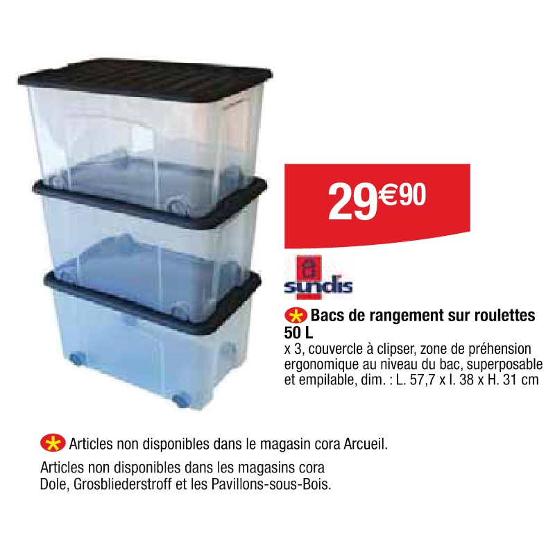 Bacs de rangement sur roulettes 50 L