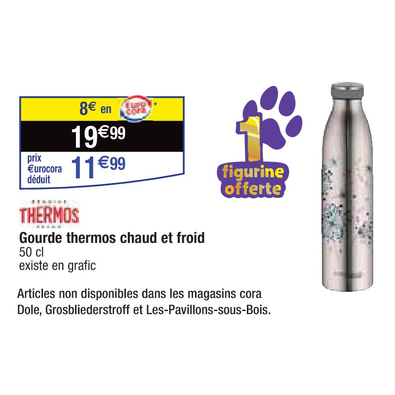 Gourde thermos chaud et froid