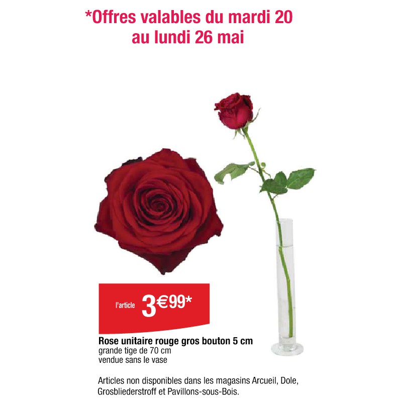 Rose unitaire rouge gros bouton 5 cm