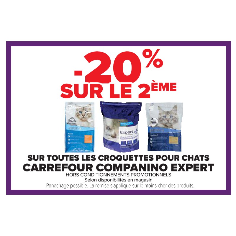 CARREFOUR COMPANINO EXPERT